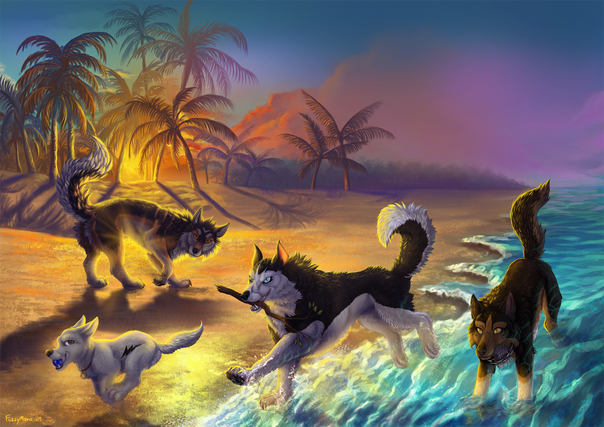 All dogs go to the beach