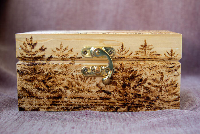 Whispering Woods Wanderer